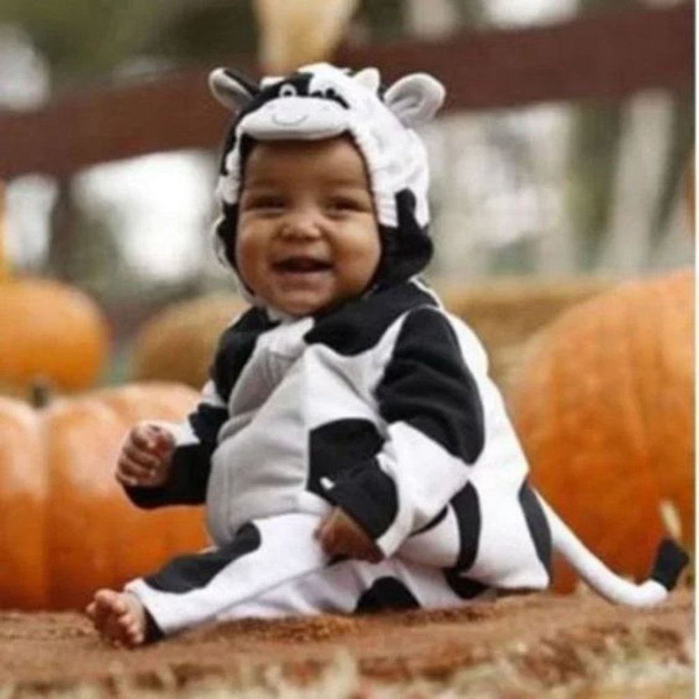 Carter's Adorable Baby Cow Hooded Halloween Costume Dress Up